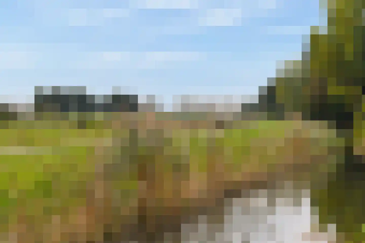 Turfschip 36 Amstelveen thumbnail 32