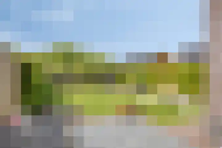 Turfschip 36 IJsselmuiden thumbnail 24