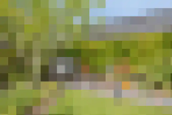 Turfschip 36 IJsselmuiden thumbnail 25