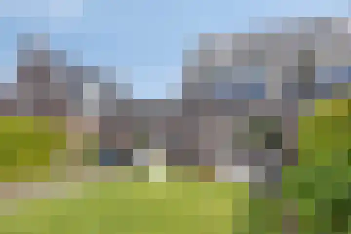 Turfschip 36 IJsselmuiden thumbnail 27