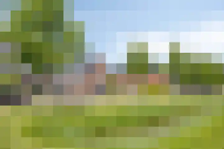 Turfschip 36 IJsselmuiden thumbnail 4