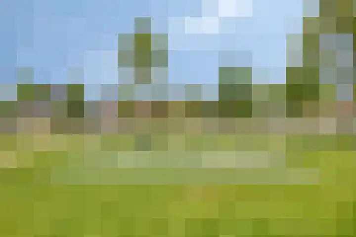 Turfschip 36 IJsselmuiden thumbnail 48