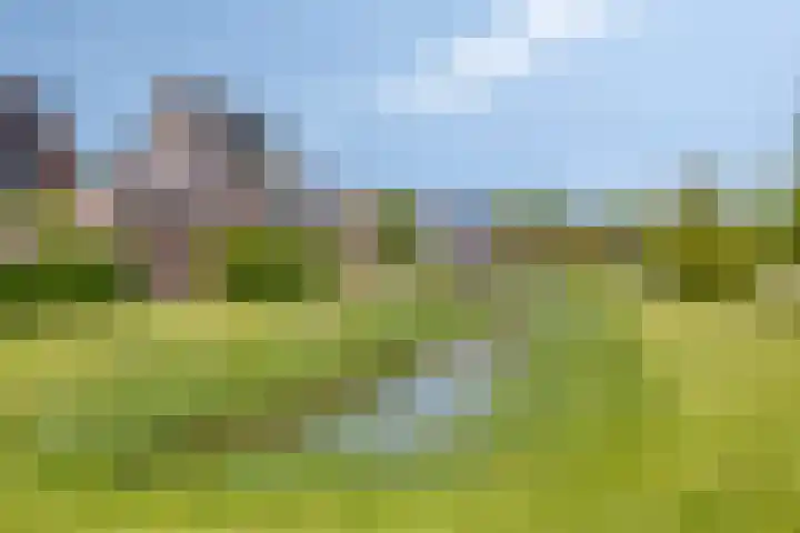 Turfschip 36 IJsselmuiden thumbnail 49