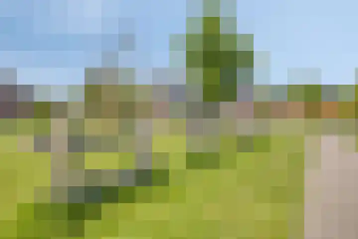 Turfschip 36 IJsselmuiden thumbnail 50