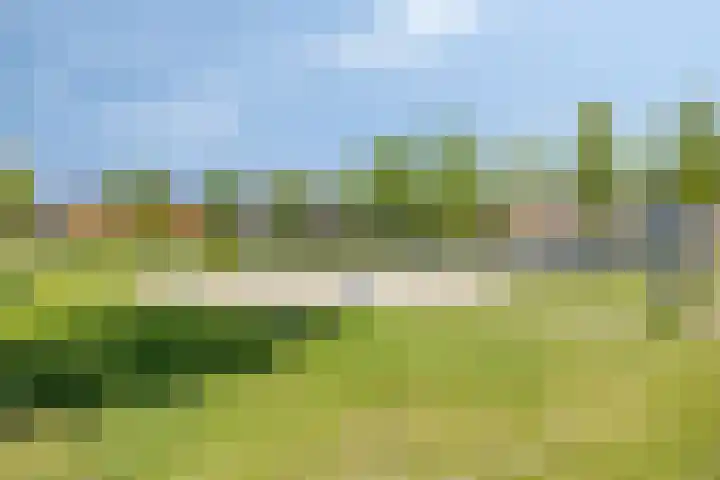 Turfschip 36 IJsselmuiden thumbnail 51