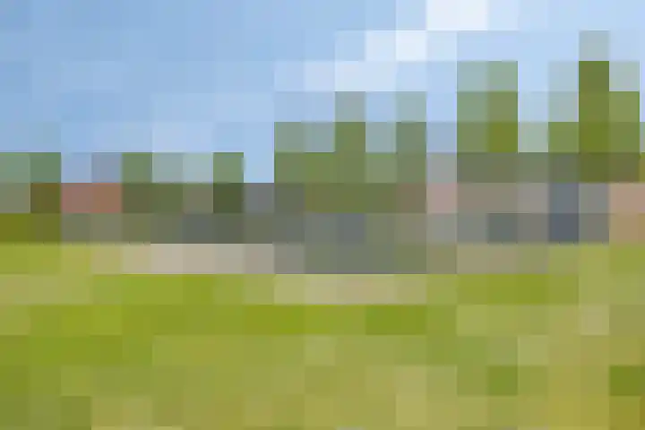 Turfschip 36 IJsselmuiden thumbnail 52