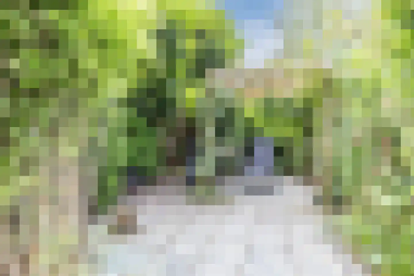Turfschip 40 Amstelveen thumbnail 13