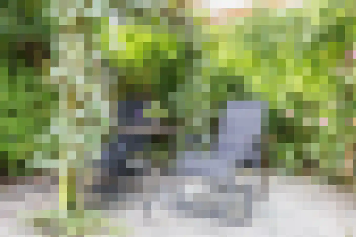 Turfschip 40 Amstelveen thumbnail 14