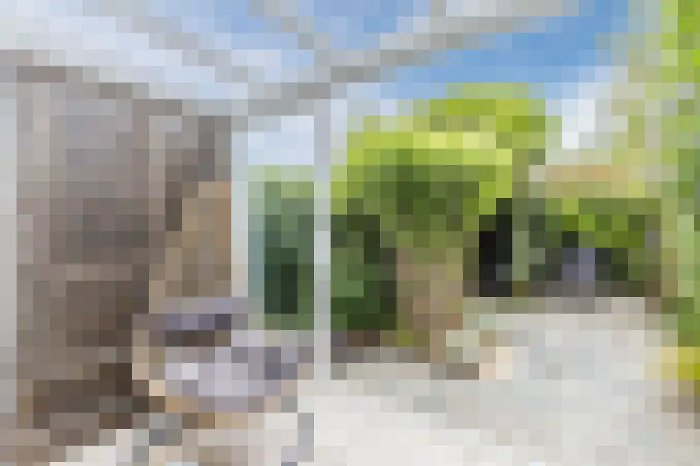 Turfschip 40 Amstelveen thumbnail 15