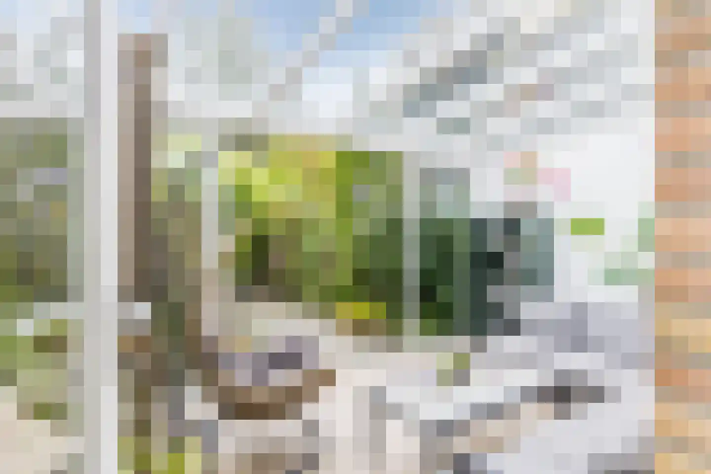 Turfschip 40 Amstelveen thumbnail 4
