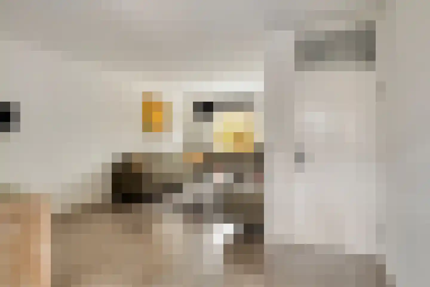 Turfschip 52 Veenendaal thumbnail 11