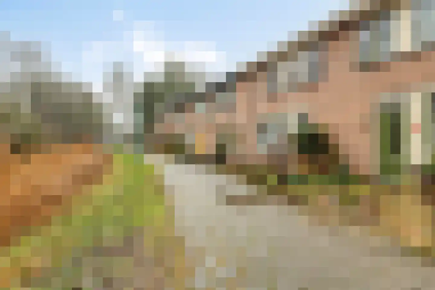 Turfschip 52 Veenendaal thumbnail 6