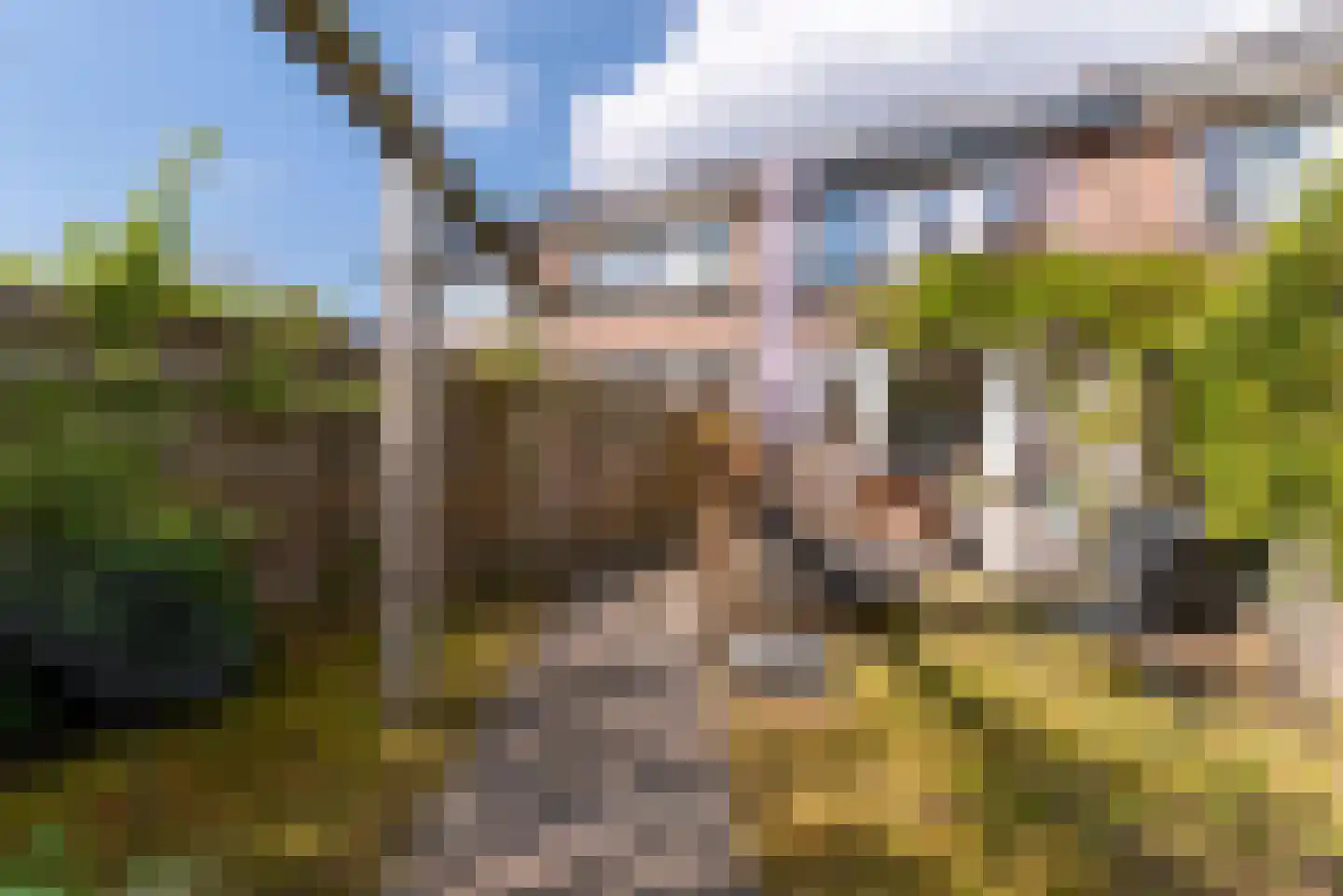 Turfschip 6 Veenendaal thumbnail 33
