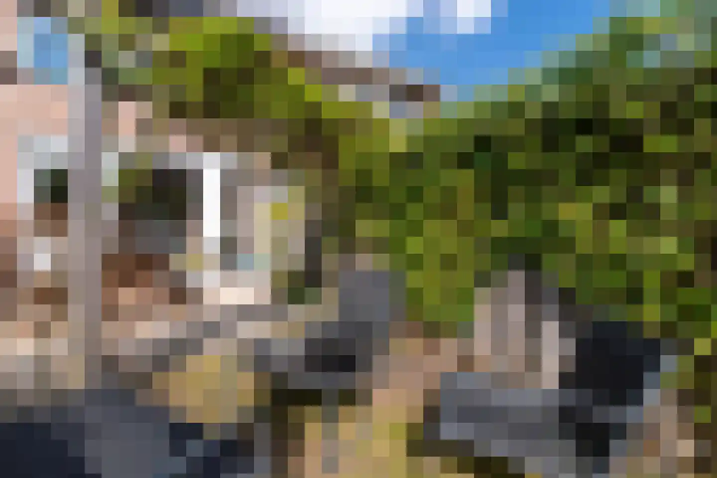 Turfschip 6 Veenendaal thumbnail 34