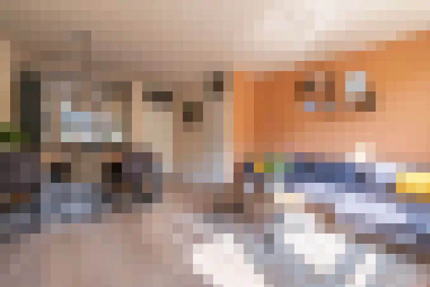 Turfschip 6 Veenendaal thumbnail 8