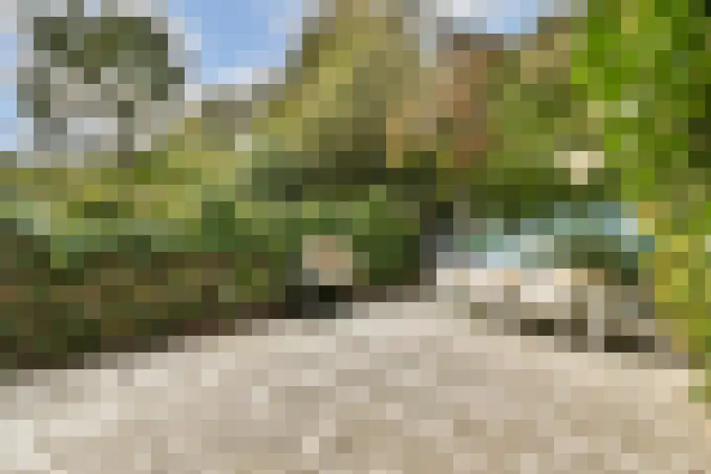 Turfschip 98 Amstelveen thumbnail 10