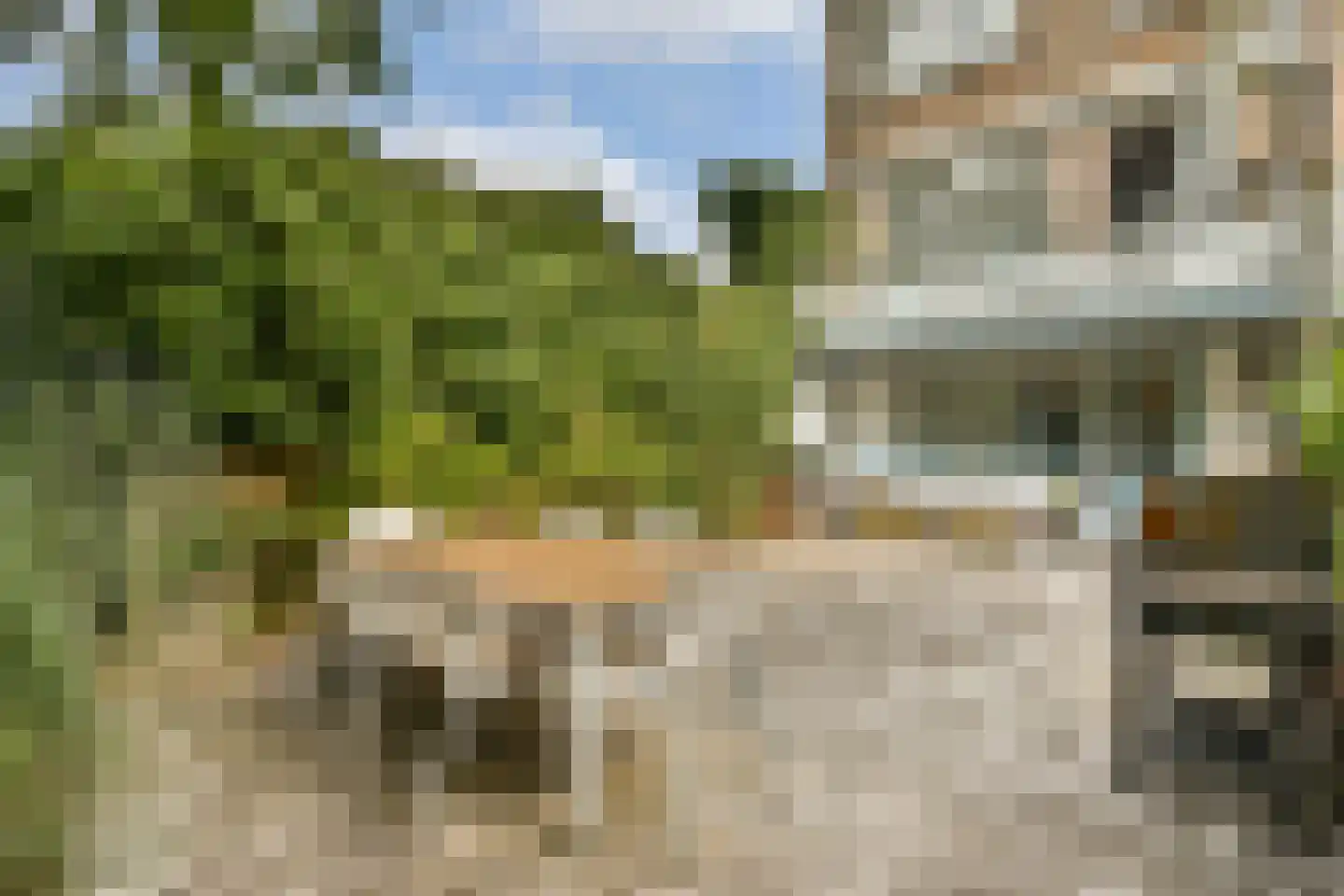 Turfschip 98 Amstelveen thumbnail 11
