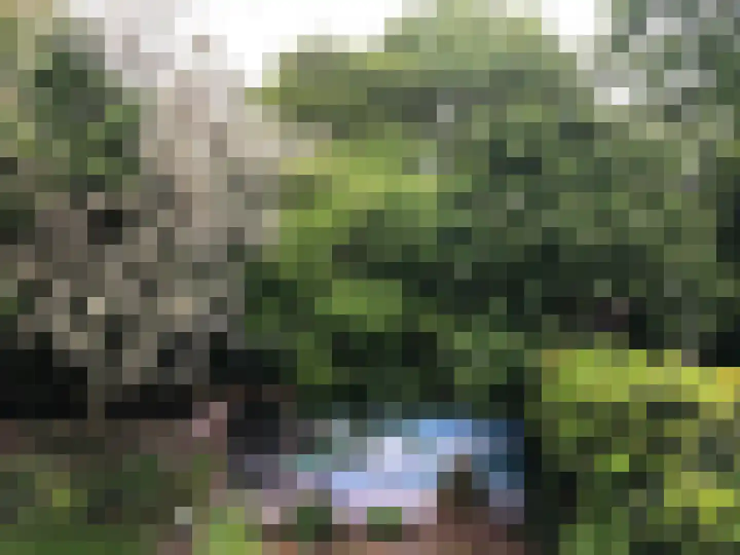 Turfschip 98 Amstelveen thumbnail 12