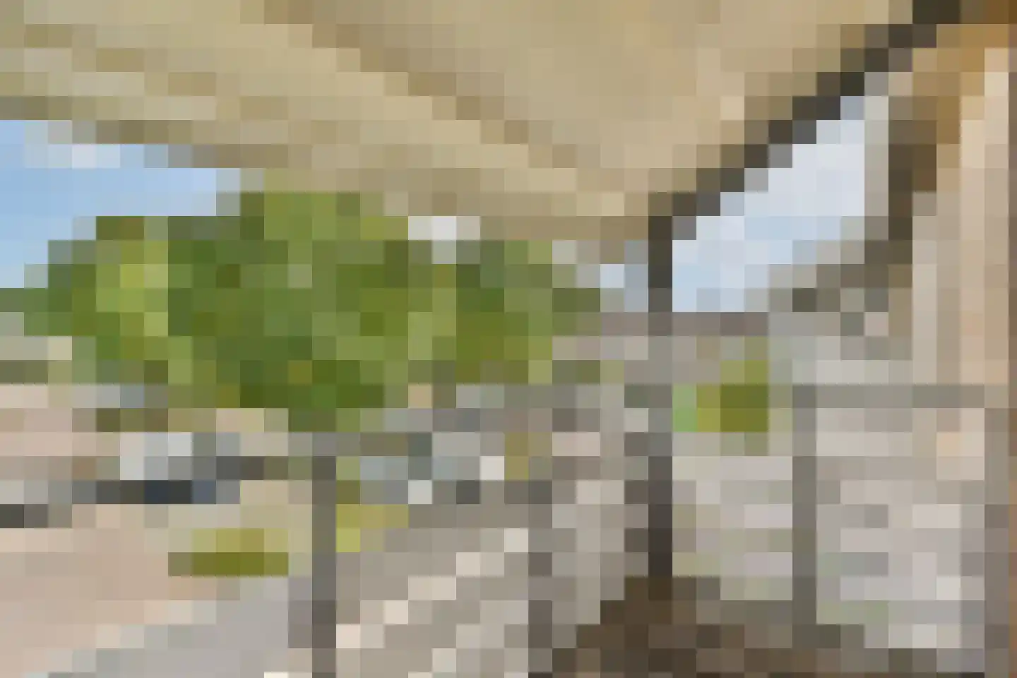 Turfschip 98 Amstelveen thumbnail 24