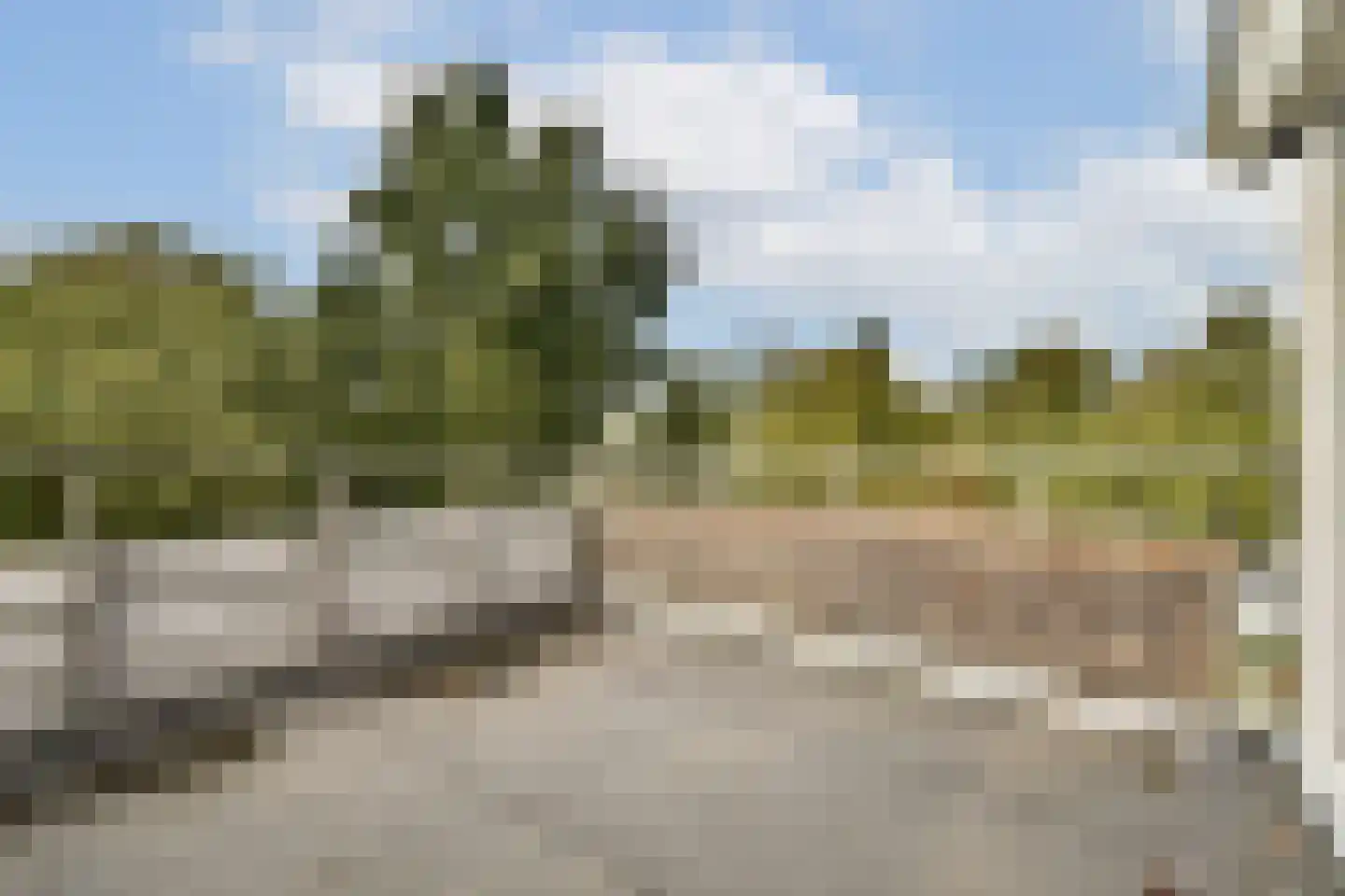 Turfschip 98 Amstelveen thumbnail 33