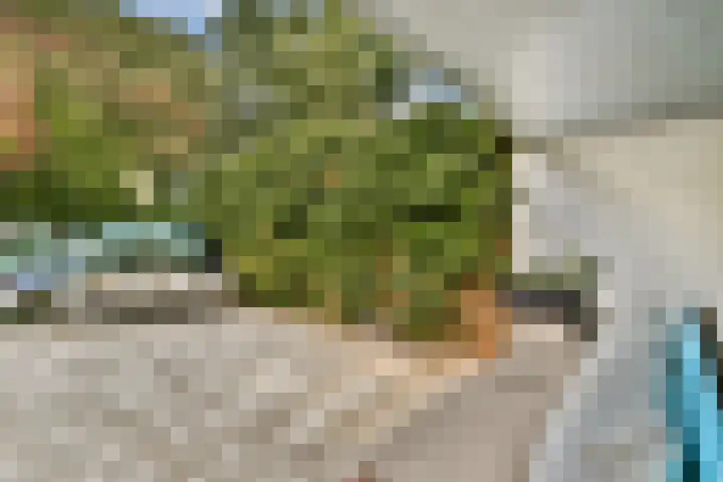 Turfschip 98 Amstelveen thumbnail 9