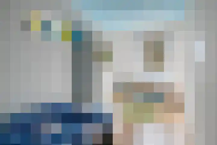 Turfschipkade 32 Zoetermeer thumbnail 25