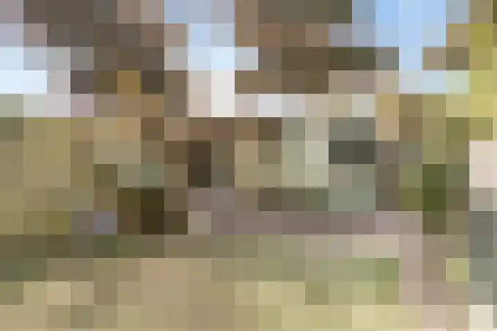 Turfschipkade 32 Zoetermeer thumbnail 38