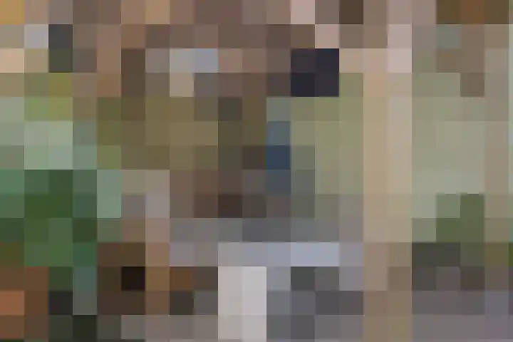 Turfschipkade 32 Zoetermeer thumbnail 40
