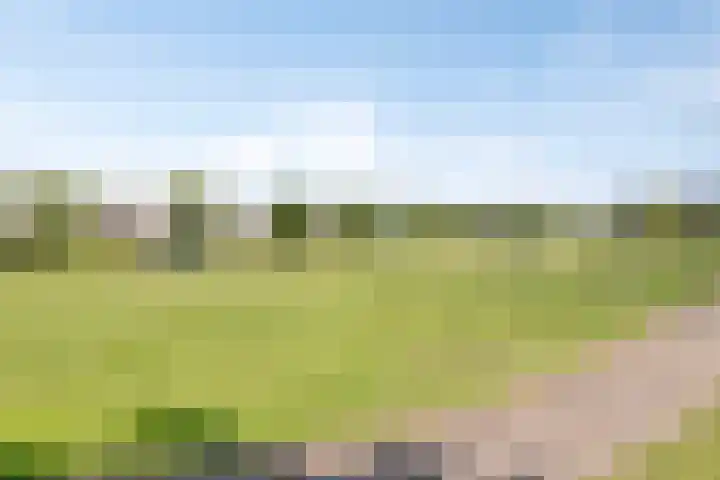 Turfschipkade 32 Zoetermeer thumbnail 43