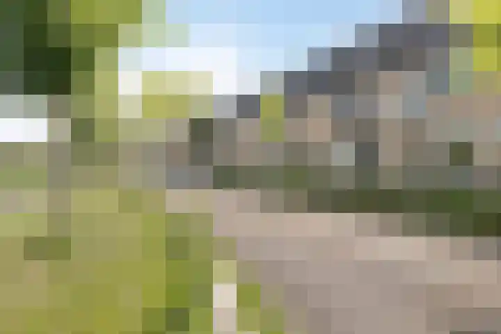 Turfschipkade 32 Zoetermeer thumbnail 5