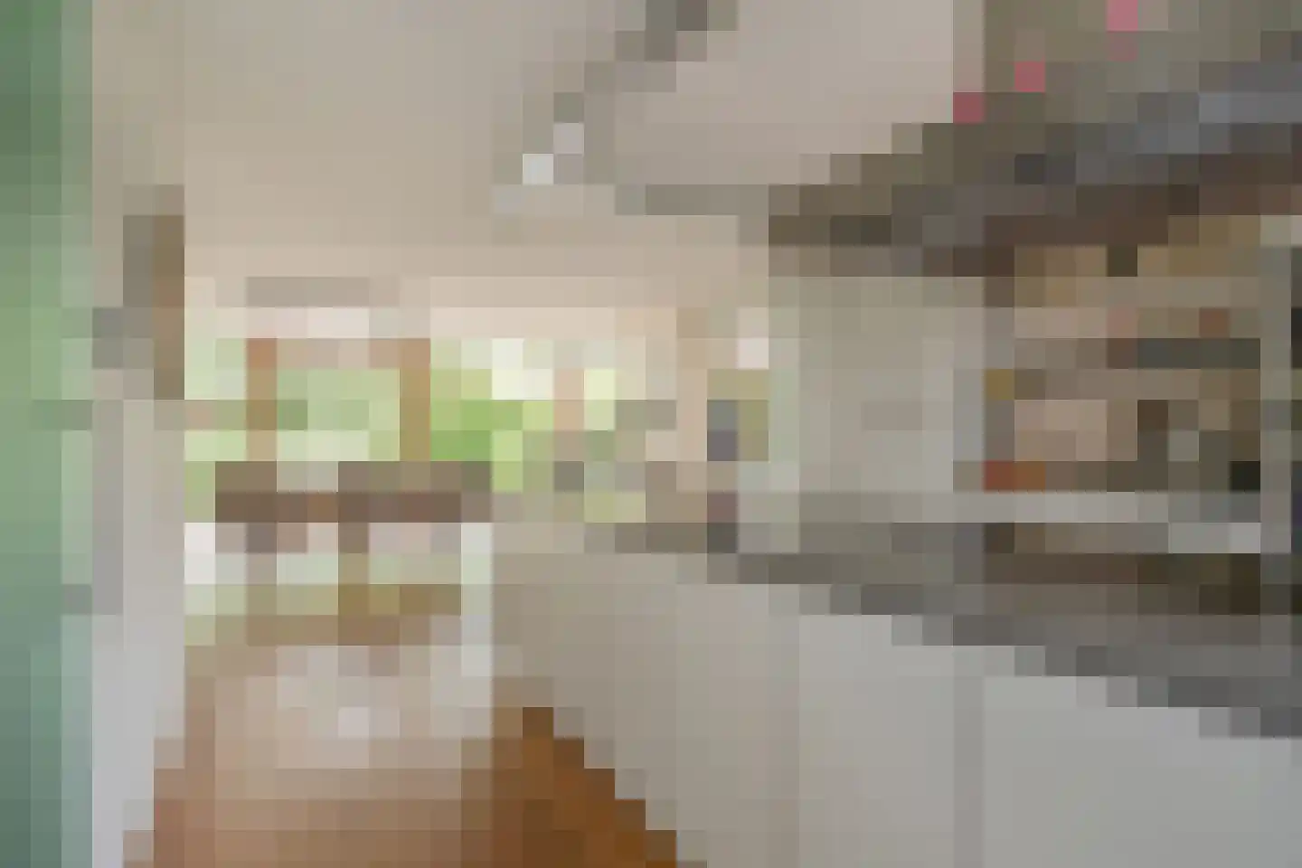 Turfschipkade 66 Zoetermeer thumbnail 12