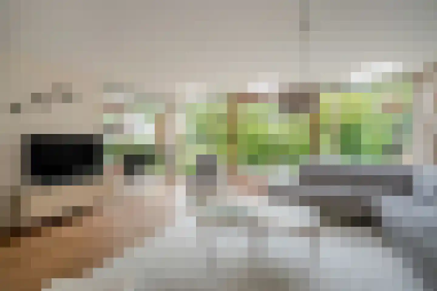 Turfschipkade 66 Zoetermeer thumbnail 17