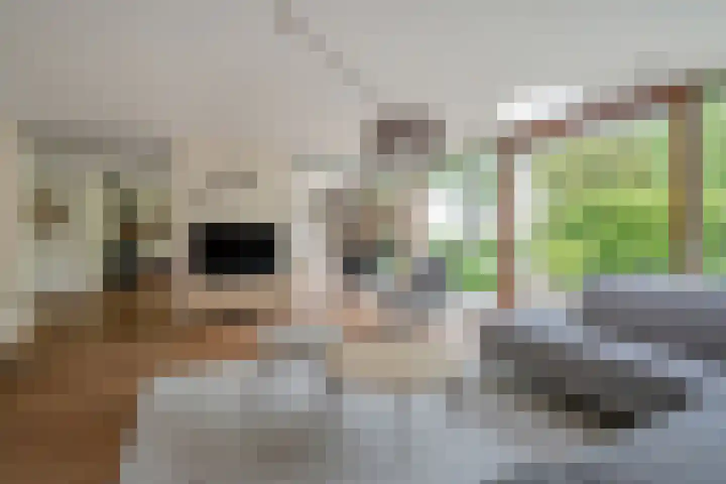 Turfschipkade 66 Zoetermeer thumbnail 18