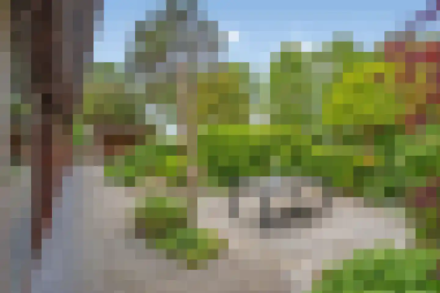 Turfschipkade 66 Zoetermeer thumbnail 22