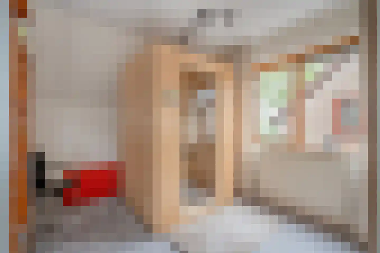 Turfschipkade 66 Zoetermeer thumbnail 36