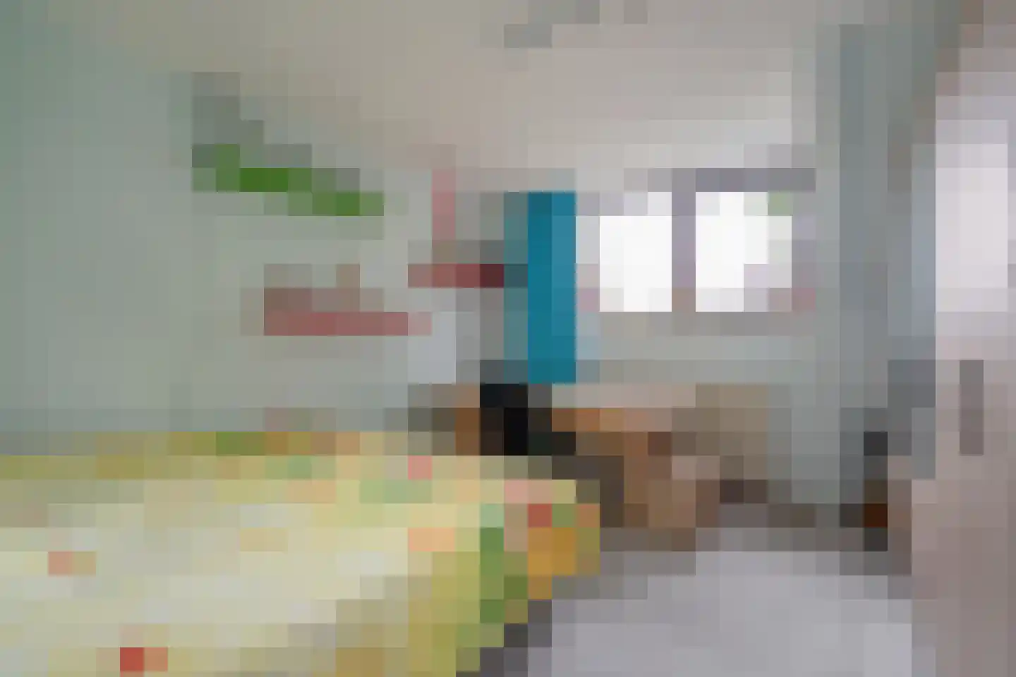 Turfschipkade 66 Zoetermeer thumbnail 38