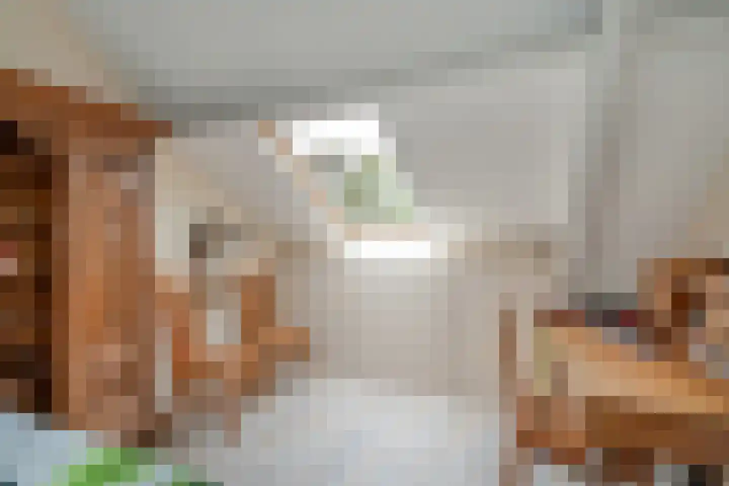 Turfschipkade 66 Zoetermeer thumbnail 43