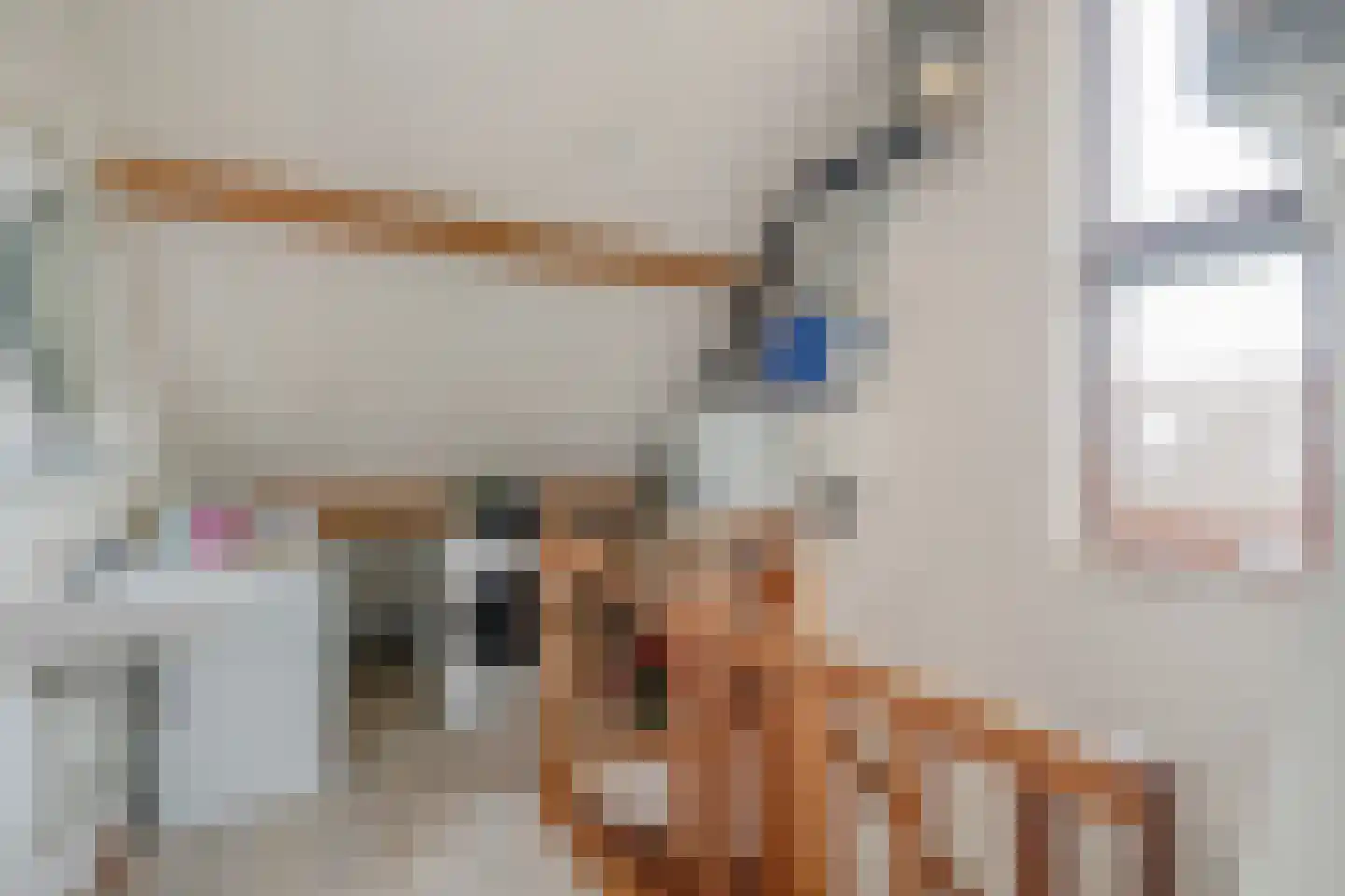 Turfschipkade 66 Zoetermeer thumbnail 49