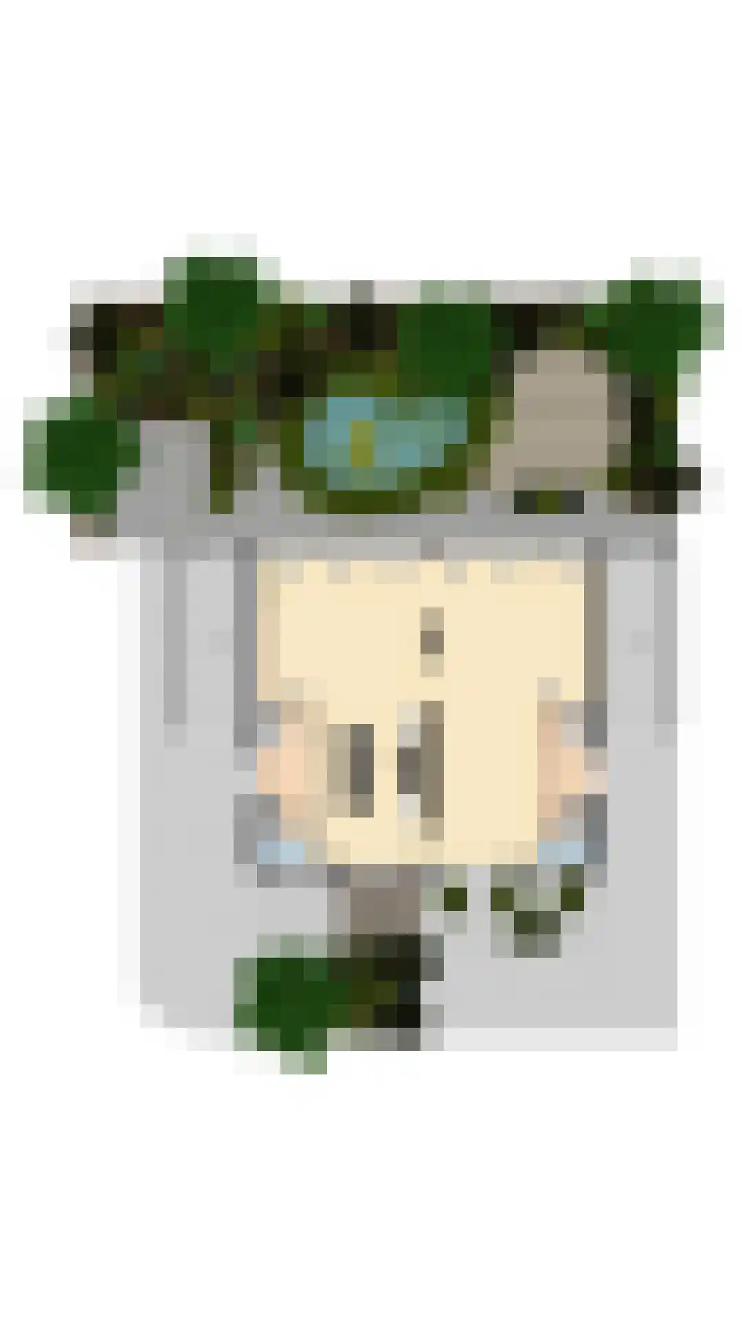 Turfschipkade 66 Zoetermeer thumbnail 63