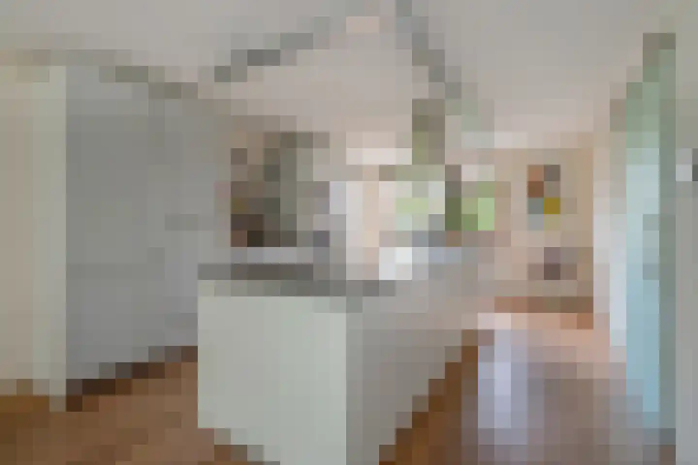 Turfschipkade 66 Zoetermeer thumbnail 8