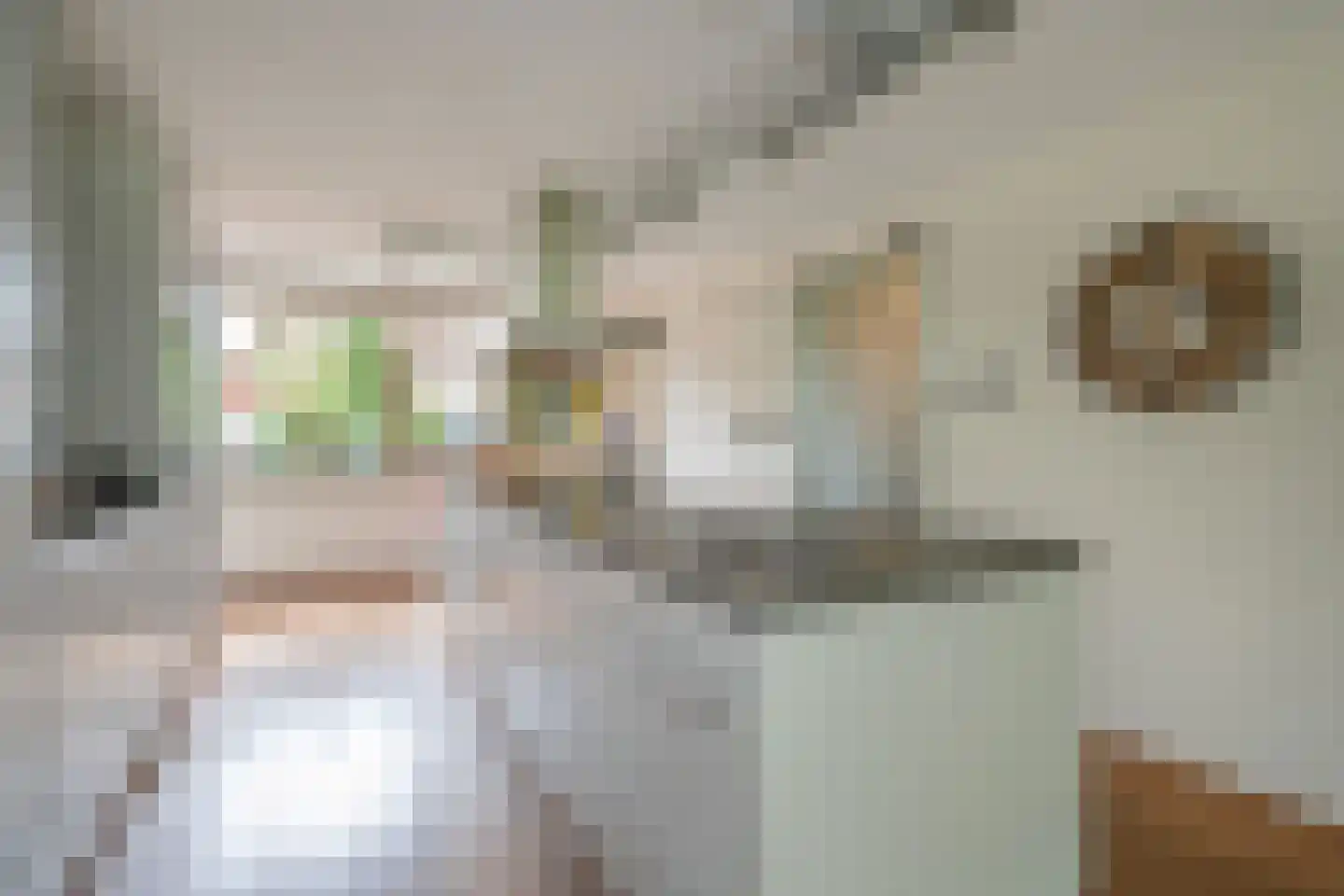 Turfschipkade 66 Zoetermeer thumbnail 9