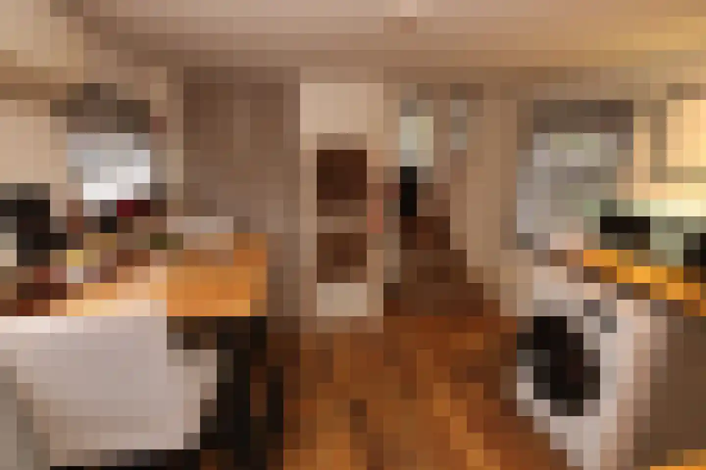 Turfsingel 1023 Groningen thumbnail 11