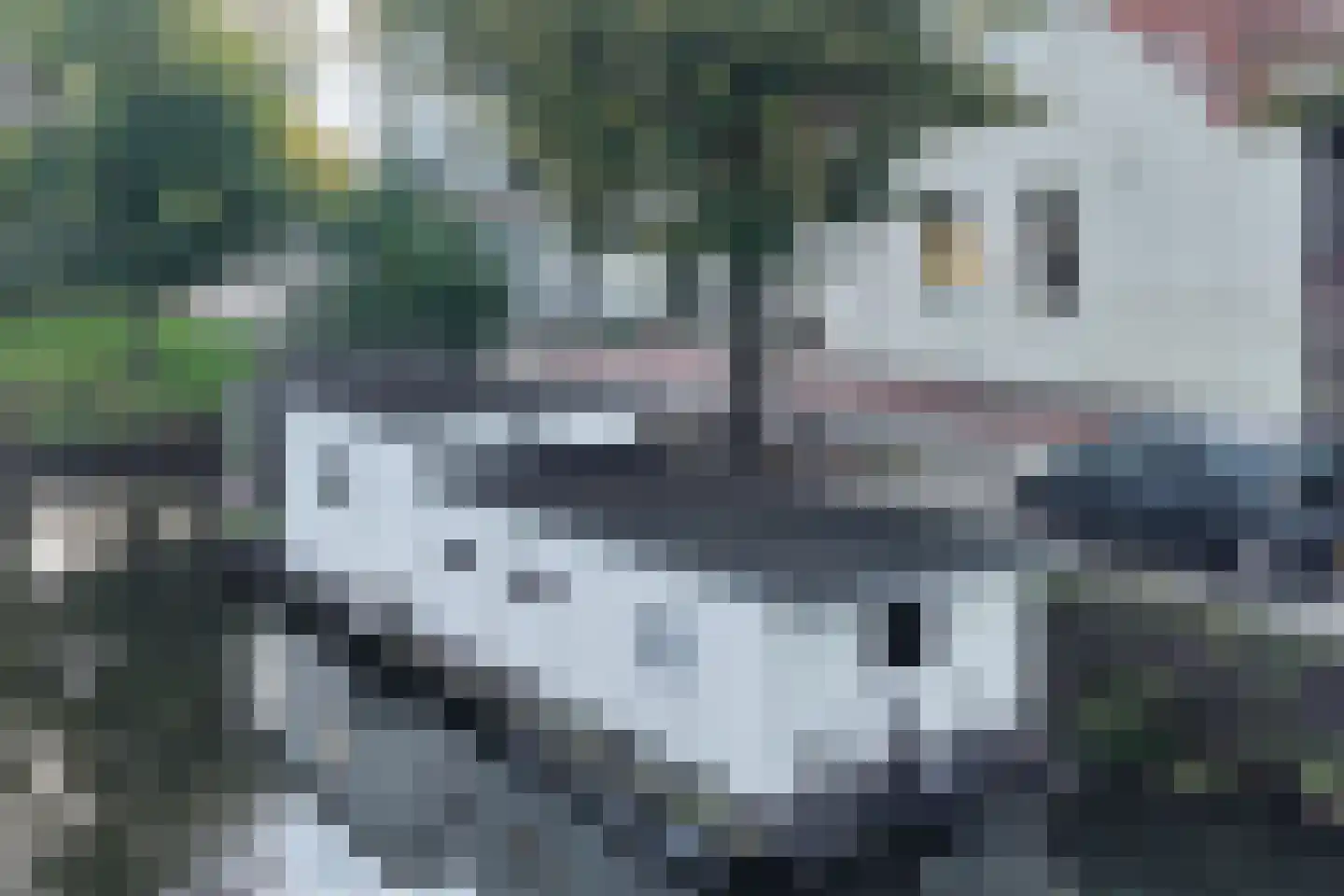 Turfsingel 1023 Groningen thumbnail 19