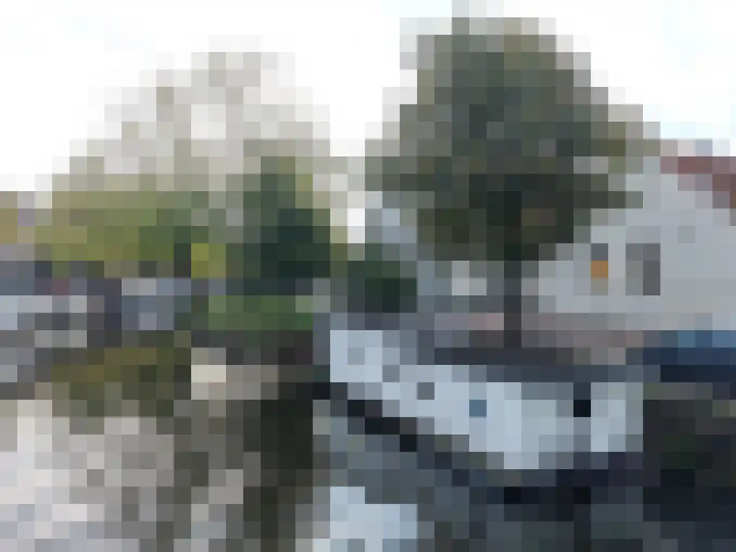 Turfsingel 1023 Groningen thumbnail 20
