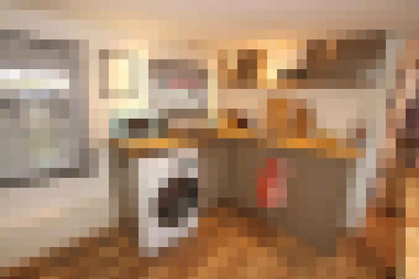 Turfsingel 1023 Groningen thumbnail 5