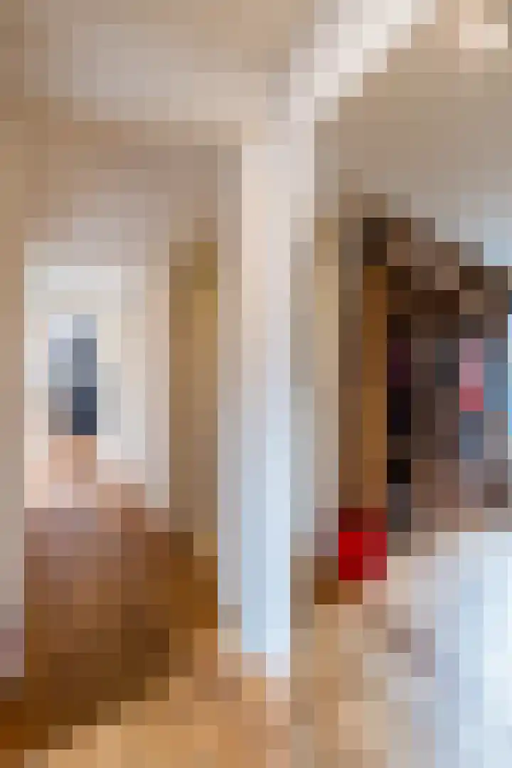 Turfsingel 1033 Groningen thumbnail 26