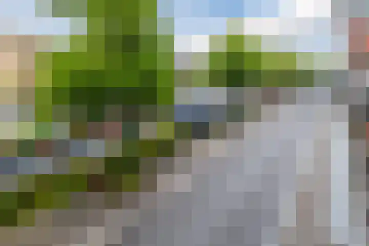 Turfsingel 1033 Groningen thumbnail 39