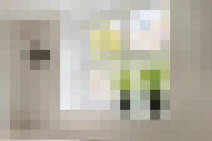 Turfsingel 1039 Groningen thumbnail 10