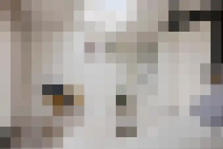 Turfsingel 1039 Groningen thumbnail 27