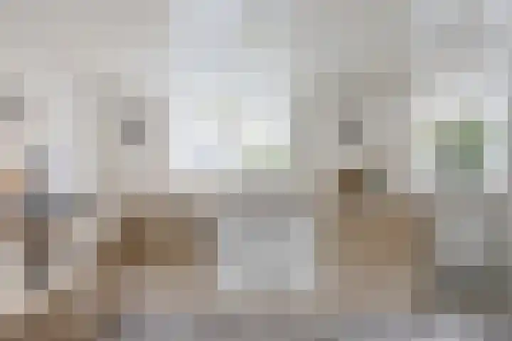 Turfsingel 1039 Groningen thumbnail 9